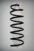 SPIDAN 49375 Coil Spring